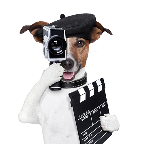 video prodüksiyon